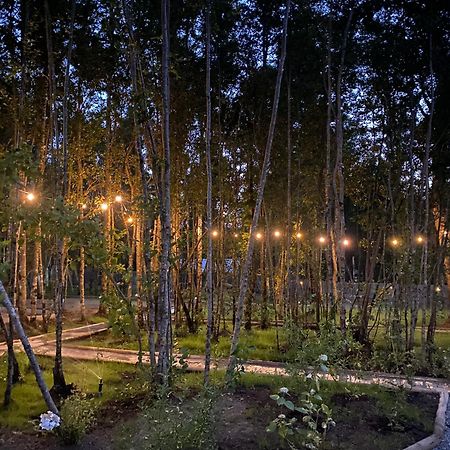 Boker Tov Pucon Hotel Екстериор снимка