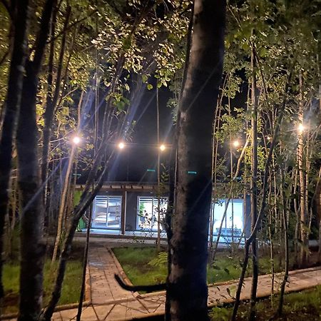 Boker Tov Pucon Hotel Екстериор снимка