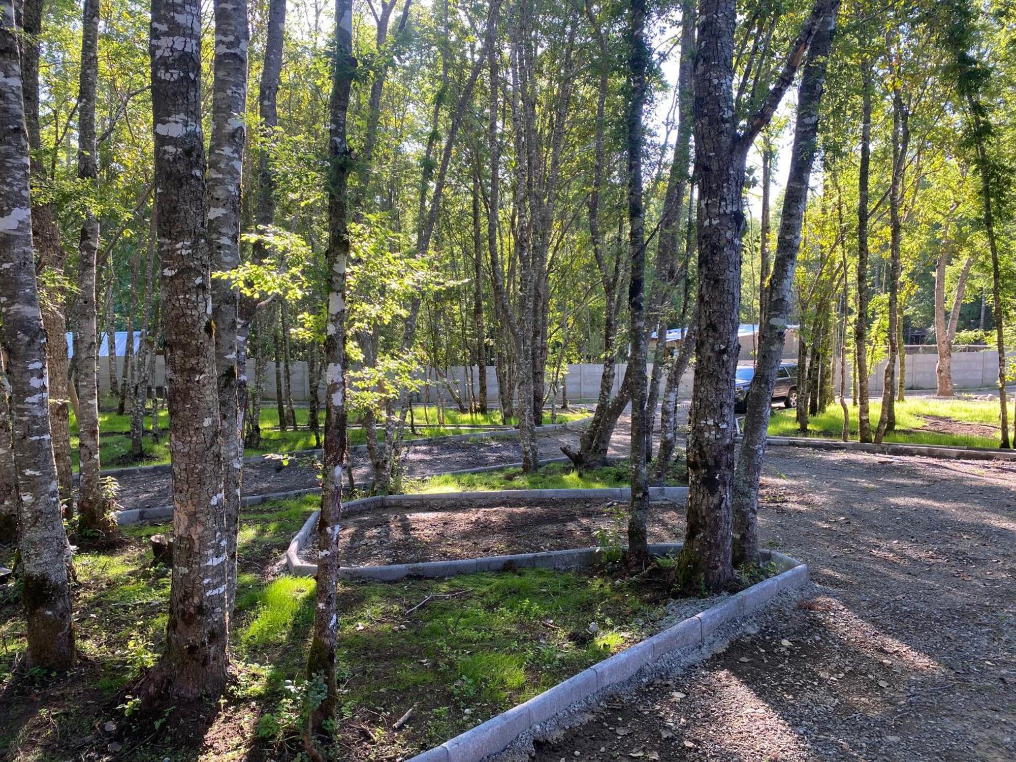 Boker Tov Pucon Hotel Екстериор снимка