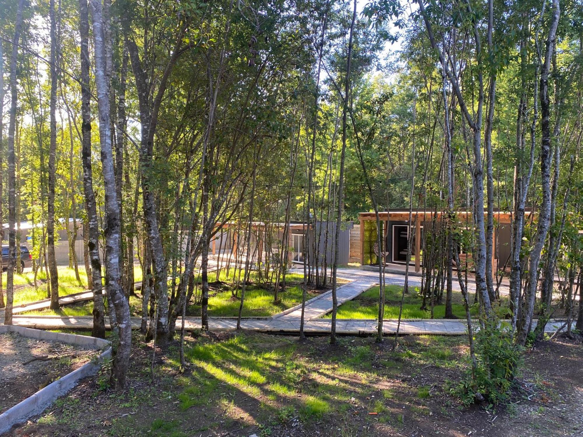 Boker Tov Pucon Hotel Екстериор снимка