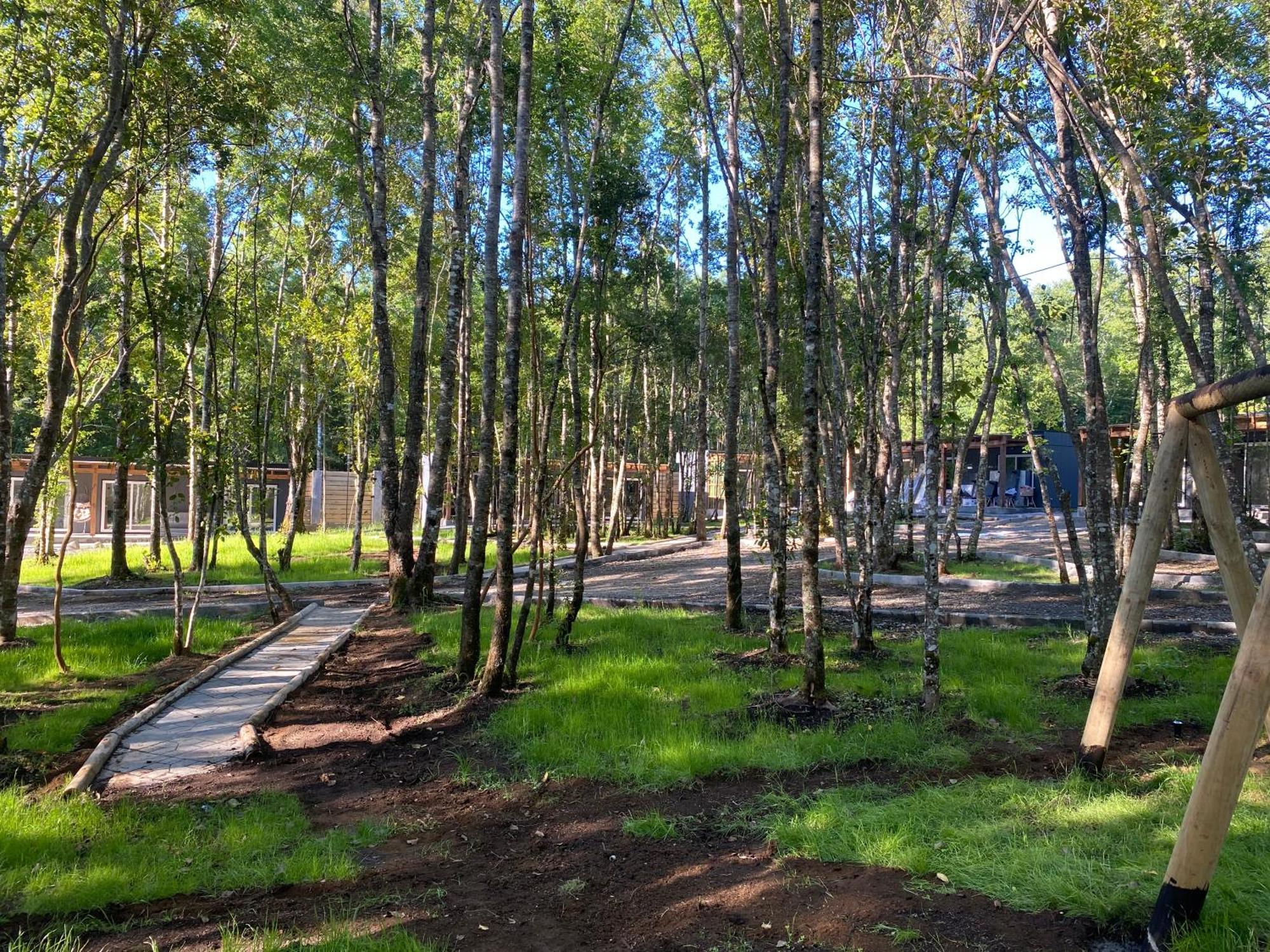Boker Tov Pucon Hotel Екстериор снимка