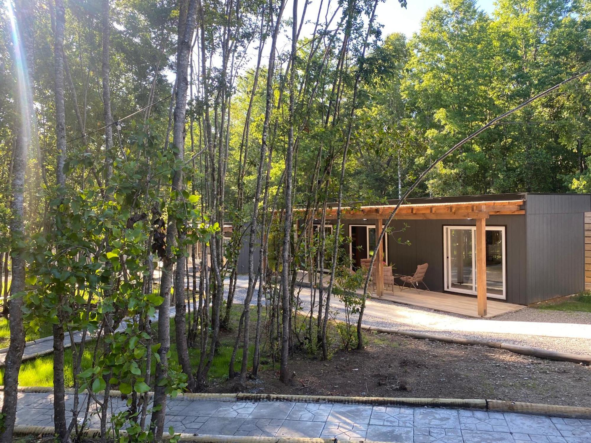 Boker Tov Pucon Hotel Екстериор снимка