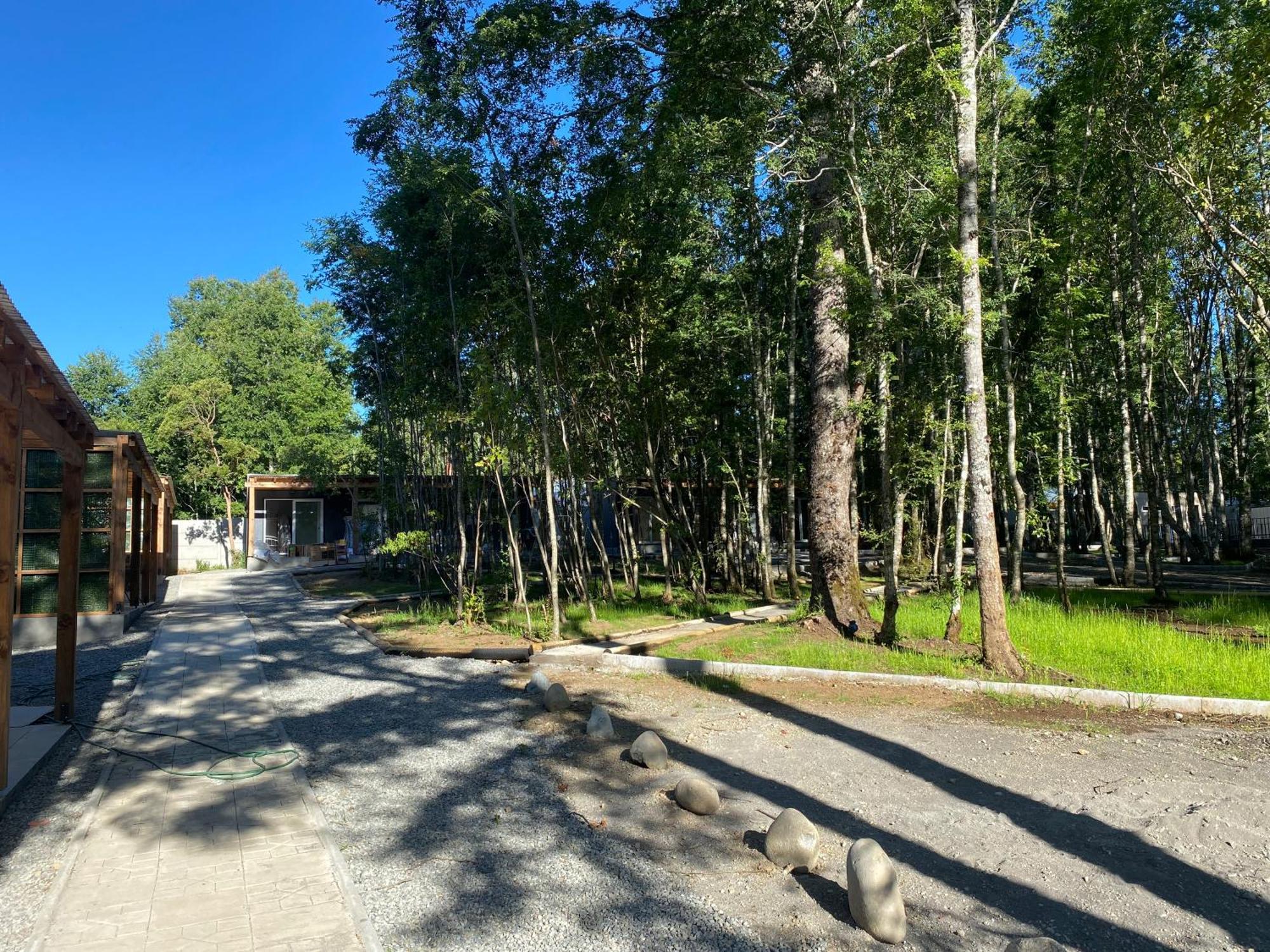 Boker Tov Pucon Hotel Екстериор снимка