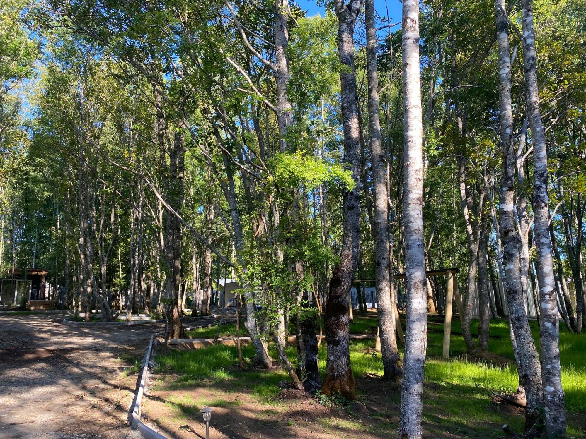 Boker Tov Pucon Hotel Екстериор снимка