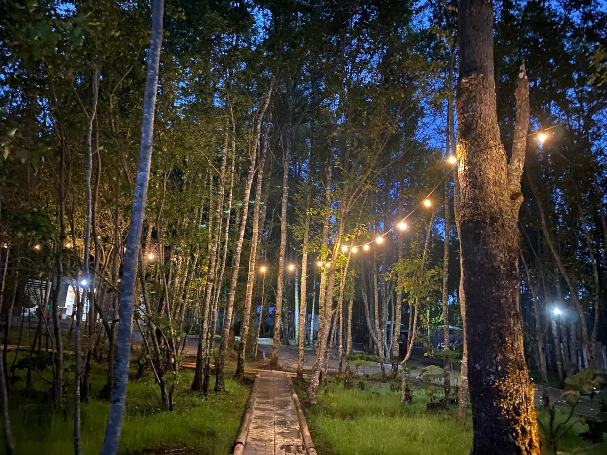 Boker Tov Pucon Hotel Екстериор снимка