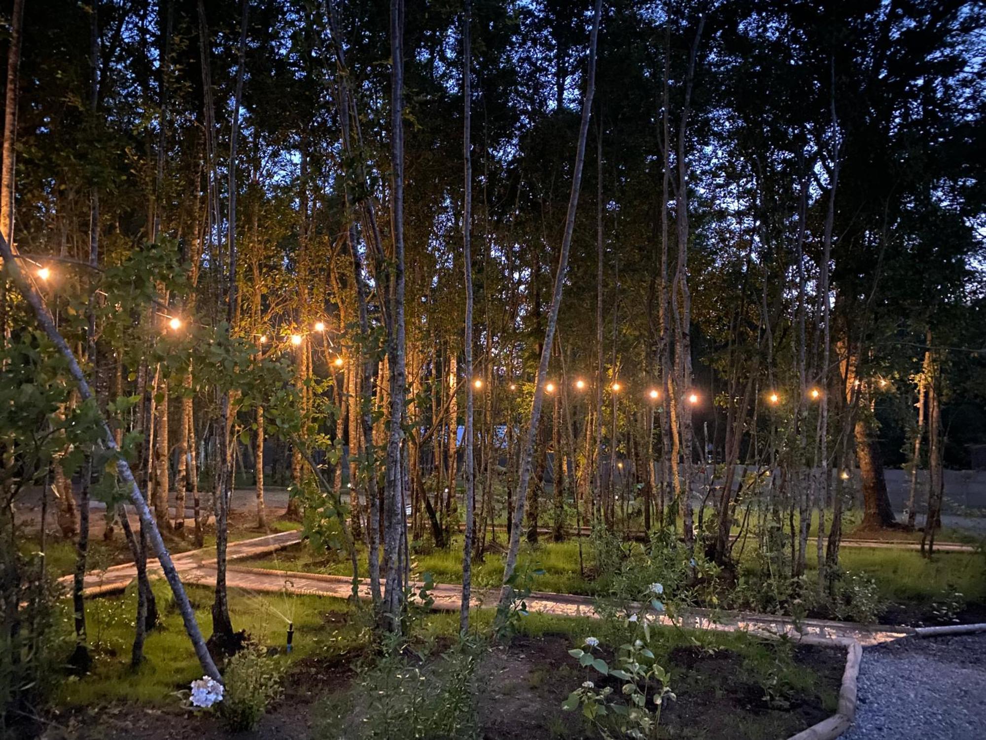 Boker Tov Pucon Hotel Екстериор снимка