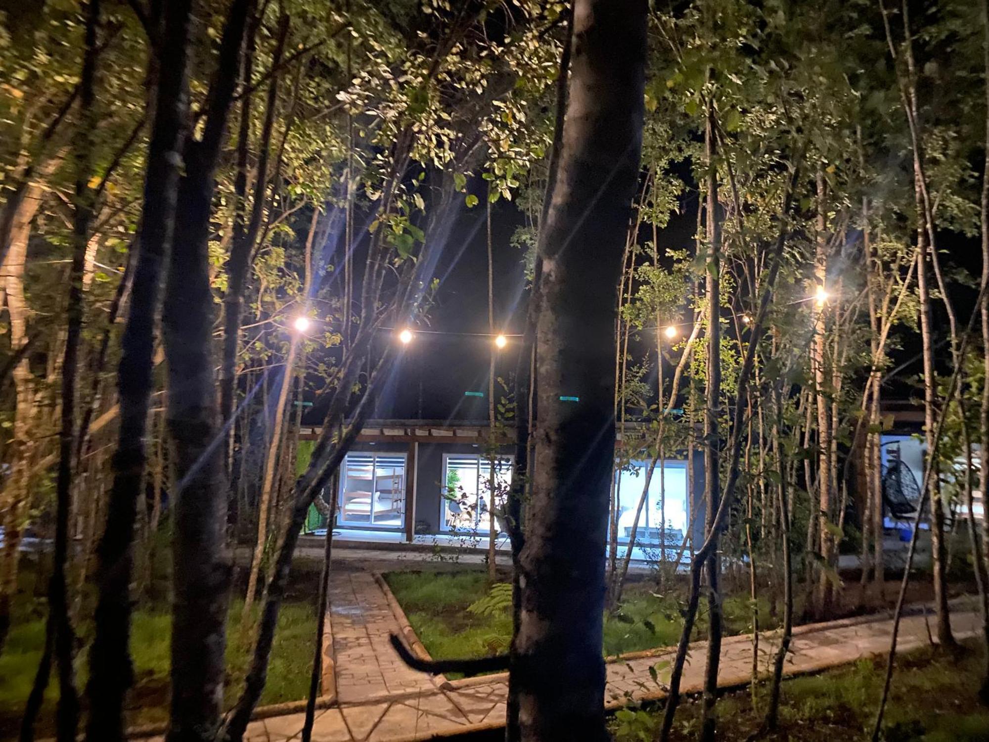 Boker Tov Pucon Hotel Екстериор снимка