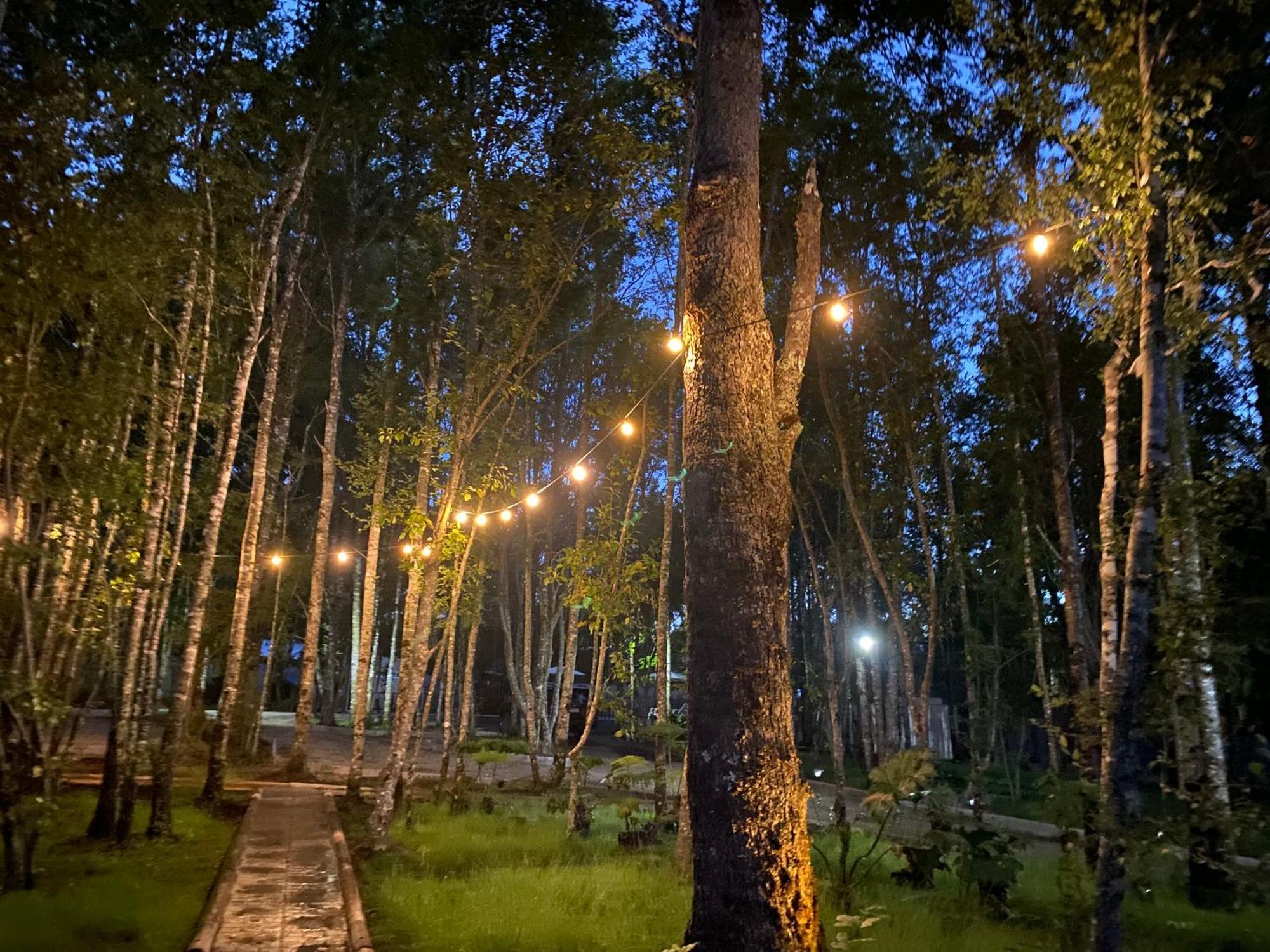 Boker Tov Pucon Hotel Екстериор снимка